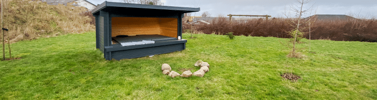shelter inspiration